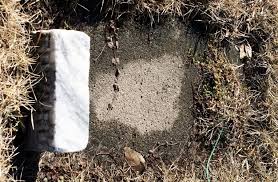 Our Effertz Family Genealogy