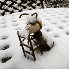 Mark, the muffin czar of course. Cozy Cactus Bed And Breakfast Ants Are Getting Cold Snow Ants Burr Winter Nohikingtoday Facebook