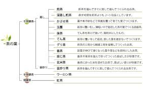 お茶の種類と作り方の違いをご紹介します お茶の雑学 八女茶コラム 八女茶 八女伝統本玉露の古賀茶業株式会社