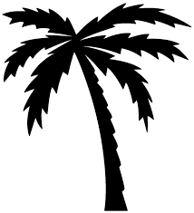 Black And White Tree Drawing Wits Supplier Onboarding Palm Tree Drawing Palm Tree Images Tree Drawing