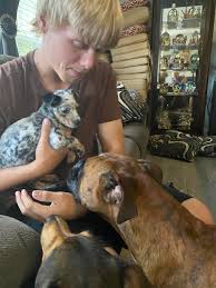 Introducing Piper the white rescue dog to the family