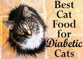 Best Cat Food For Diabetic Cats Best Cat Food Cats Cat Food