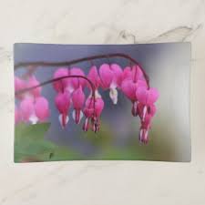 Bleeding Heart Flower Floral Botanical Love Pink Trinket Trays Floral Style Flower Flowers Stylish Diy Perso Bleeding Heart Flower Flower Gift Bleeding Heart