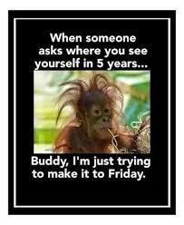 Where Do You See Yourself In 5 Years Funny Quotes Work Humor Funny