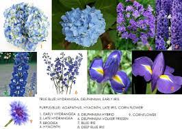 The leaves from this plant are also loaded with globe thistles have bright blue and violet flowers which attract bees and butterflies. Flower Information Modern Petals Blog Page 2