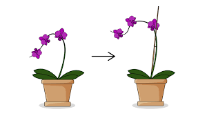Flowers, like most plants, need good soil to grow up strong and healthy. How To Plant Flowers 13 Steps With Pictures Wikihow