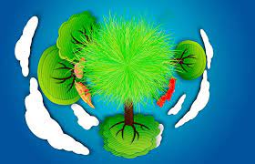 Formula de calcul a taxei va fi direct. Ce Este Taxa Auto De Timbru De Mediu Si Cum Se Calculeaza In 2020
