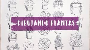 ¿quieres saber cuáles son los cactus de crecimiento más rápido? Como Dibujar Cactus Y Plantas Youtube