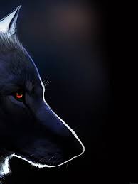 Download and use 500+ wolf stock photos for free. Wallfocus Lone Wolf Wallpaper Hd 1536x2048 Wallpaper Teahub Io
