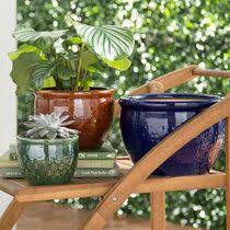Jun 19, 2021 · simple low poly geometric succulent planter. Geometric Pot Wayfair