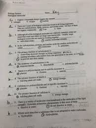 Student exploration ionic bonds answer key. Today In Class Elaine Dolcini Biology