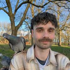 Tom🌱🐦 (@heyitstommm)