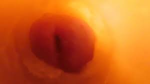 Camera inside vagina while fingering, fucking and cum with hot milf wife  and nice cock