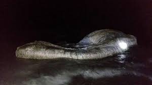 A discovery of unknown sea creature, said to be a globster or trunko washes up in poblacion, cagdianao, dinagat islands on february 22, 2017.several deep sea. Locals Believe This Giant Globster That Washed Up On A Beach Spells Impending Doom