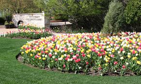 And flowers can be a part of any event to make it even more meaningful. Chasing Spring Blooms Through West Michigan Where To Find Amazing Floral Gardens Grkids Com