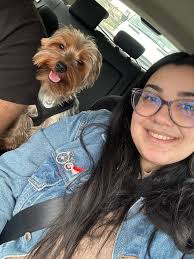 Introduction of a pet dog