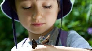 Parents' Choice Awards Honor Ranger Rick Publications