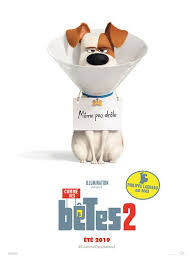 Contact 1 ep par jour records. Comme Des Betes 2 Streaming Film Regarder Et Telecharger Gratuit Hd Films Complets Film Film Streaming Gratuit