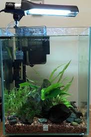 Amazon Com Fluval Mini Power Compact Lamp 13w Aquarium Lights Pet Supplies Aquarium Lighting Aquarium Lamp