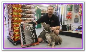 Best Dog Food For Pitbull Bully Taste Of The Wild High Prairie Pitbull Dog Food Wellness Core Natural Grain Fre Best Puppy Food Wet Dog Food Pitbull Puppies