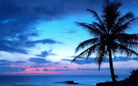 These were some of our free videos in 4k ultra hd. Wallpapers Beach Sunset Posted By Christopher Anderson