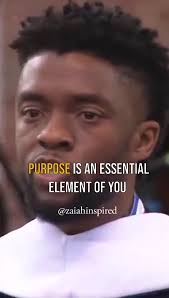 Purpose crosses disciplines, it is an essential element of you, find p...