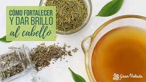 We did not find results for: Productos Hechos En Casa Para Dar Brillo Al Pelo Y Fortalecerlo
