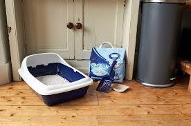 5 ways to teach cats to litter tray from experienced breeders. Cat Litter Tray Advice Battersea Dogs Cats Home