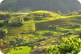 Planting grass seed on slopes and hills isn't difficult when you have the right seed for the job and know how to hold grass in place where it's planted. Reading Avoiding Soil Loss Geology