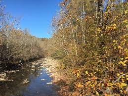 Located along the west prong of the little pigeon river these cozy cabins are sure to leave you relaxed and peaceful during your vacation. Little Pigeon River Us Vacation Rentals Cabin Rentals More Vrbo
