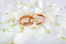 We did not find results for: Wedding Rings And Flowers Composition Stock Image Colourbox