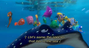 60 perfect fish names, from nemo to neptune. Let S Name The Species Disney Wiki Fandom