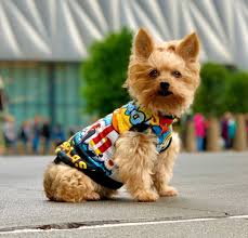 Handmade Dog Clothes Dog Top Clothes For Dog Small Size Dogs Yorkie Clothes Pet Tops Chihuahua Clothing Dog Hoodie Dog Tshirt Dog Hoodie Yorkie Clothes