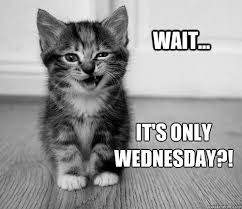 Turning years on a tuesday has a drawback: 50 Kickass Funny Wednesday Memes To Make Hump Day Better