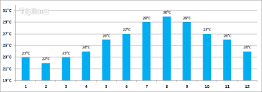 Get the forecast for today, tonight & tomorrow's weather for praha, praha, česká republika. Predpoved Pocasi Praha Na 14 Dni