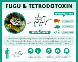 Image of Tetrodotoxin toxin