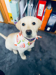 For Pusha Moya active followers, It will really help you to like and follow  the Official Pusha Moya page. There'll be a lot of exciting stuff that  side. And I mean a