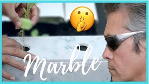 How To Make Hydroponic Bottle with Capillary Watering System (4 Easy Steps) 