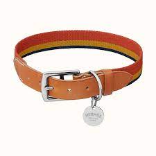Rocabar Dog Collar Stirrup Leathers Leather Buckle Dog Collar