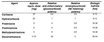 steroid potency conversion chart emupdates