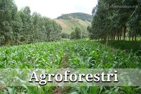 Di mana untuk memperoleh barang dan jasa. Pengertian Agroforestri Komponen Manfaat Menurut Para Ahli