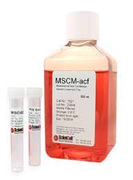 Animal cell culture as in vitro or lab propagation or growth of animal cells under controlled condition. Serum In Cell Culture Today Sciencell Research Laboratories