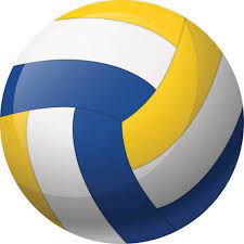 Volleyball is a team sport in which two teams of six players are separated by a net. Leather Multicolor Volleyball Ball Akash Sports Id 16576630930