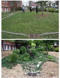 Bf Day Elementary School Before And After Rain Garden 1 Year Later Jardin De Pluie Jardins Pluie
