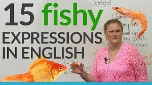 In a bowl, combine lime juice, onion, jalapeño, and 1/4 tsp each salt and pepper. 15 Fishy Expressions In English Engvid