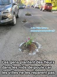 Les Villes Ne Reparent Pas Les Nids De Poules Les Habitants Decident D Y Planter Des Fleurs Planter Des Fleurs Poule Fleurs