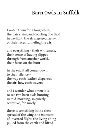 Pin By Tara On Thicket In 2020 Words A Kind Of Magic Prose