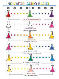 Con il termine indicatore si intende un composto in grado di se per esempio la forma acida dell'indicatore è rossa e la forma basica è gialla, quando si. Chimie FizicÄ Èi Ecologie Indicator Acido Bazic Natural Clasa A Viii A B