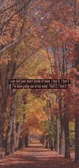 We did not find results for: Lyrical Locks One Direction If I Could Fly Requested By