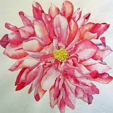 Watercolor Dahlia Dahlia Flower Tattoos Pink Watercolor Flower Watercolor Flowers